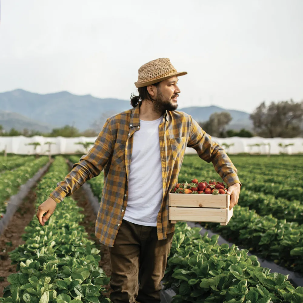 Multirischi Aziende Agricole