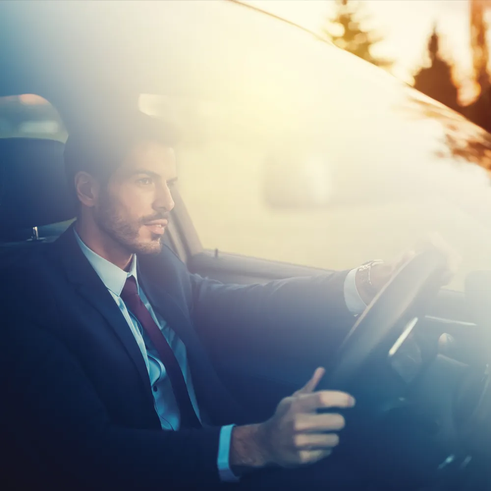 Tutela Circolazione Business